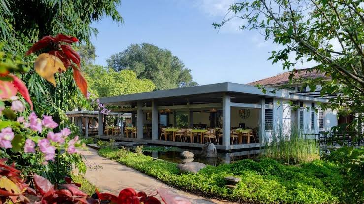 Best Wellness Retreats In India