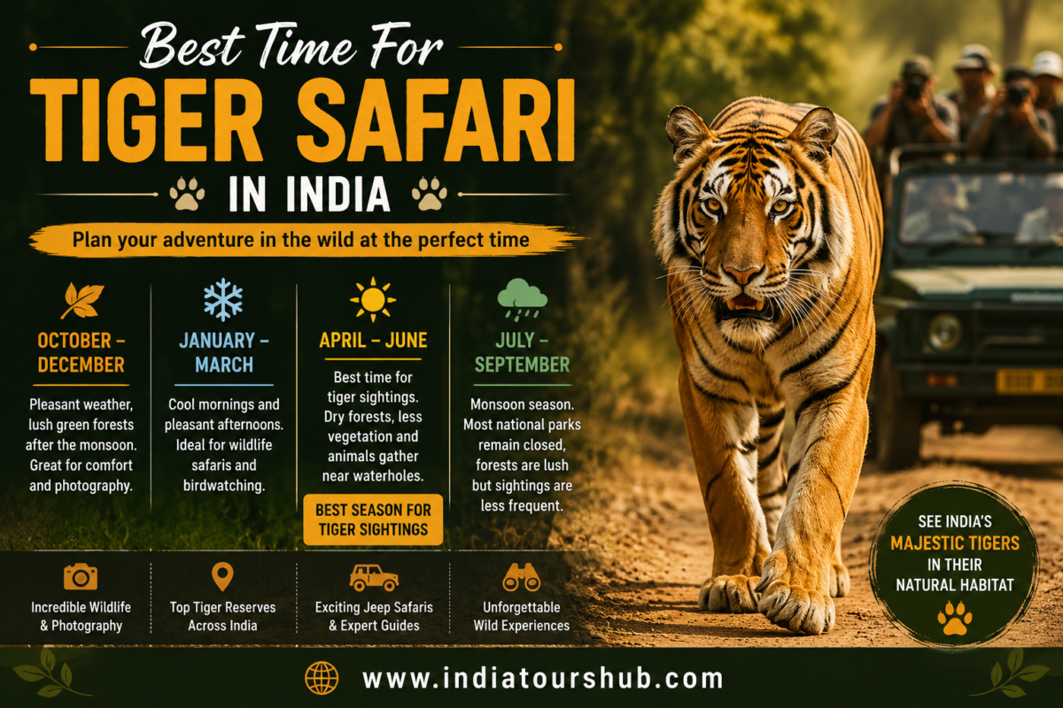 Best Time For Tiger Safari In India