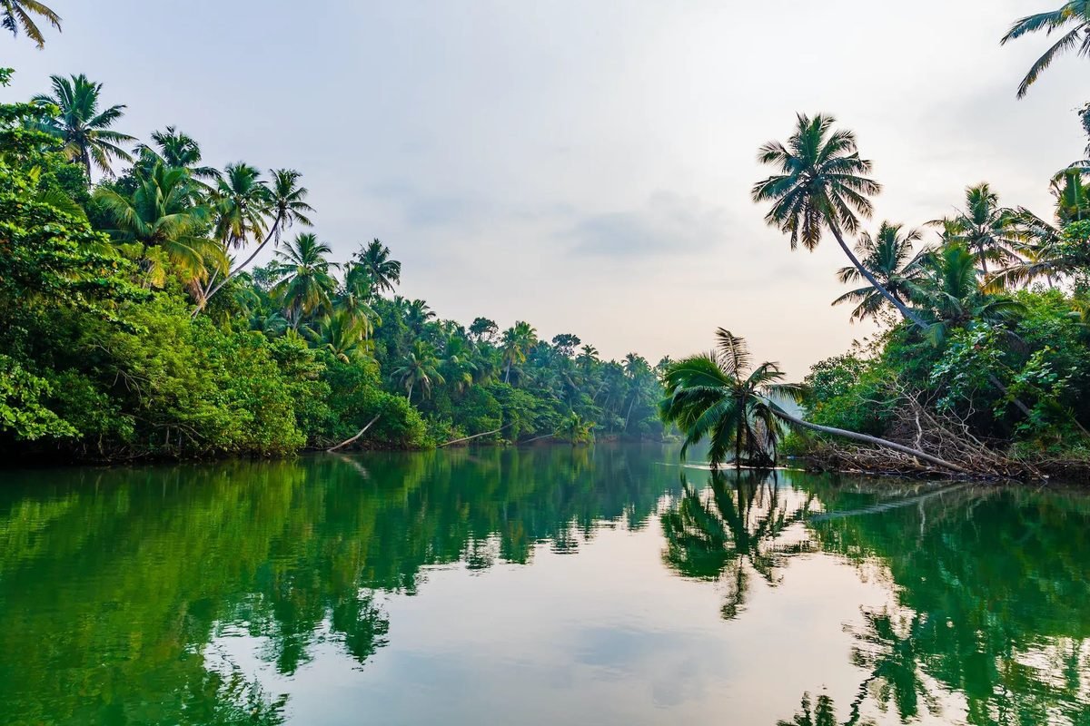 Private Kerala Tour Package