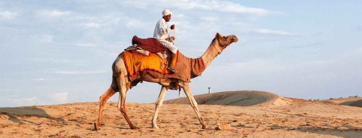 Rajasthan Desert Safari Tour
