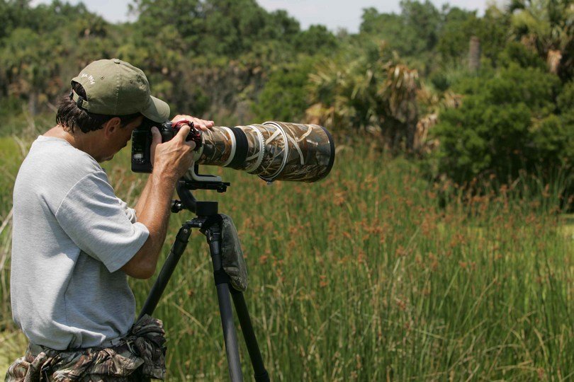 Wildlife Photography Tour India
